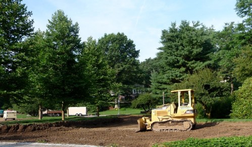 The site before the five London Planes get moved. The first tree to be excavated and moved is the one furthest from the camera, just to the right of the white trailer. These trees flanked a driveway; in this photo the driveway asphalt has been taken up and the gravel base has been partially removed. Trees are located 3-4 feet from the drive edge.