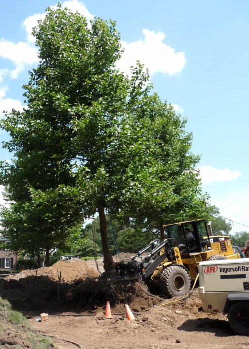 A pause for the forks to be positioned more firmly.